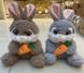 Мягкая игрушка Кролик с морковкой C30806, 20см (6922030308069) МИКС купить в Украине