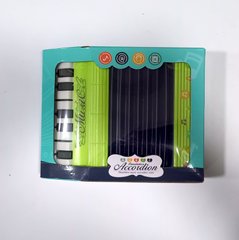Музичний акордеон 2020, 2 режими гри, 8 клавіш, в коробці (6978685290075) Салатовый купити в Україні