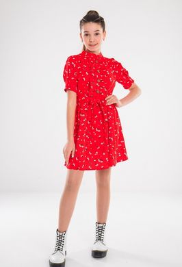 Платье Лесси ПЛ-33013 (Suzie) 10л/140/38, Красный купить в Украине