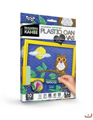 Вишивка на пластиковій канві "PLASTIC CANVAS: Совеня" купити в Україні