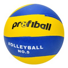 М'яч волейбольний VA 0033-1 офіційн. розмір, гума, 270-290 г. купити в Україні