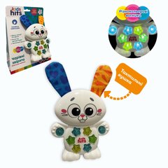 Музична іграшка "Чарівні звірятка. Кмітливе зайченя" KH09/003 Kids Hits, на планшеті (6902784526025) купити в Україні