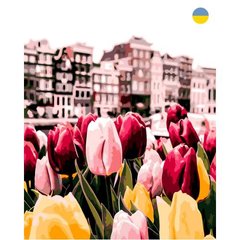Картини за номерами, 40*50 см купити в Україні