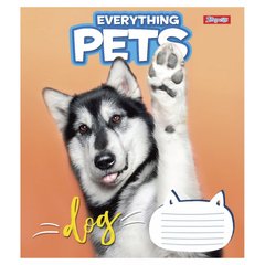 А5/18 кл. 1В Everything pets, зошит учнів. купить в Украине