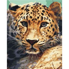 Картина за номерами: Портрет леопарда купити в Україні