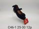 Туфлі C46-1 black Apawwa 28