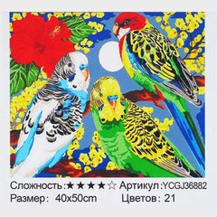 Картина за номерами YCGJ 36882 (30) "TK Group", 40х50 см, “Веселі папужки”, в коробці купити в Україні