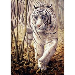 Алмазна мозаїка, без підрамника "Білий тигр" 30х40 см купити в Україні