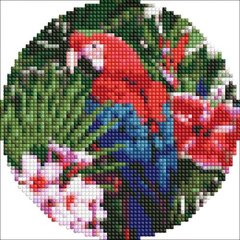 Набір з алмазною мозаїкою "Яскравий папуга" на круглому підрамнику d19см купити в Україні