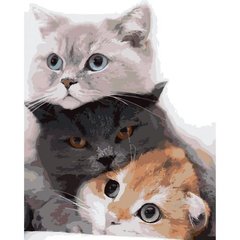 Картина по номерах 0182 ОРТ кол. Історія трьох котиків 40*50 купить в Украине