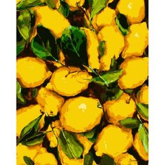 Картина за номерами "Соковиті лимони" ★★★★ купити в Україні