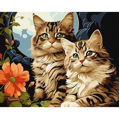Картина по номерам "Очаровательные котики" 40х50 см купить в Украине