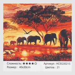 Картини за номерами 30215 (30) "TK Group", "Африка", 40*30 см, у коробці купити в Україні