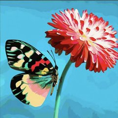 Алмазна мозаїка "Метелик на квітці", 30х30 купити в Україні