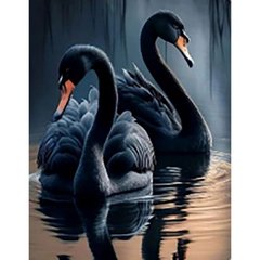 Алмазная мозаика, на рейках "Черные лебеди" 40х50 см купить в Украине