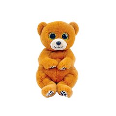 Дитяча іграшка м’яконабивна TY BEANIE BELLIES 40549 Ведмедик "DUNCAN" купити в Україні