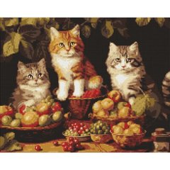 Алмазна мозаїка "Котики і фрукти" 40х50 см купити в Україні