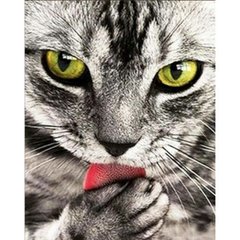 Набір для творчості алмазна картина Сіренький котик Strateg розміром 30х40 см кв (HEG86038) купить в Украине