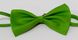 Однотонна краватка-метелик Butterfly C3207 Светло-зелёный купити в Україні