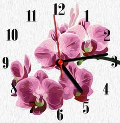 Годинник-картина за номерами "Орхідея", 30х30 см купити в Україні