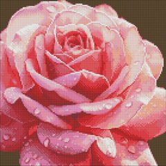 Набір з алмазною мозаїкою без підрамника "Досконала троянда" 40х40см купити в Україні
