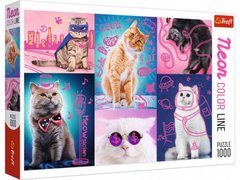 Пазли "Супер коти", 1000 елементів купити в Україні