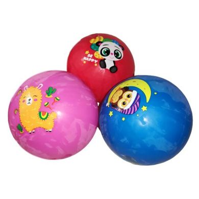 Іграшка "М'яч. JumPoPo" JPP09(укр) купити в Україні