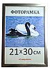Фоторамка пластиковая 20х30, рамка для фото 1611-84(5) купить в Украине