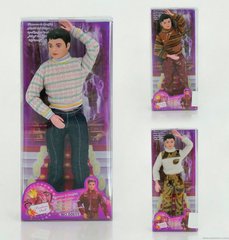 Лялька Кен 60611 у коробці Микс купити в Україні