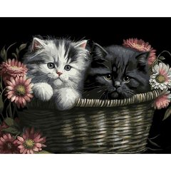 Картина за номерами на чорному фоні "Кошенята у кошику" 40х50 купити в Україні