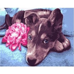 Картина за номерами "Пес із квіткою" 40х50 см купити в Україні