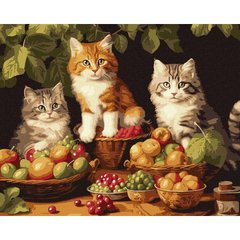 Картина за номерами "Котики і фрукти" 40х50 см купити в Україні