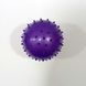 Мяч резиновый массажный С 40279, диаметр 12см 23грамма (6900067402790) Фиолетовый купить в Украине