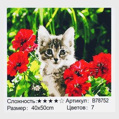Картина за номерами + Алмазна мозаїка B 78752 (30) "TK Group", 40x50 см, "Кошеня у квітах", в коробці купити в Україні