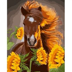Набір для розпису по номерах Кінь серед соняшників Strateg розміром 40х50 см (GS975) купити в Україні