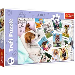 Пазли "Літні картинки собак" 300 елементів 23003 Trefl, в коробці 95900511230031) купити в Україні