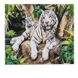 Картина по номерам "Тигрица и тигрята" 32033 TK Group, 40х30см, в коробке (6900066366123)