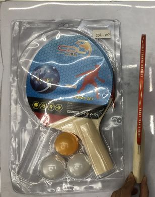 Теніс настільний TT2106 (30 шт)2 ракетки,3 м"ячика в слюді купити в Україні
