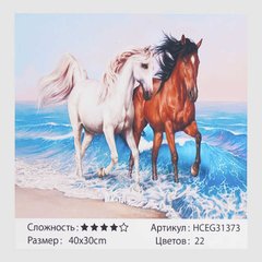 Картини за номерами 31373 (30) "TK Group", "Пара коней", 40х30 см, в коробця купити в Україні