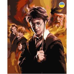 Картина по номерам "Гарри Поттер" 40x50 см купить в Украине