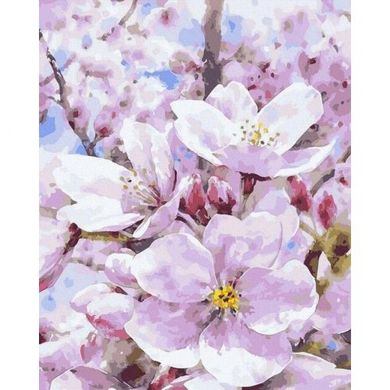 Картина за номерами "Квітуча яблуня" 40х50 см купити в Україні