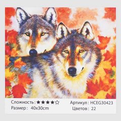 Картини за номерами 30423 (30) "TK Group", "Вовки", 40*30 см, у коробці купить в Украине