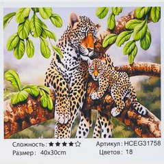 Картини за номерами HCEG 31758 (30) "TK Group" купить в Украине