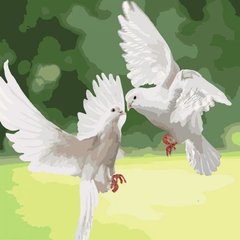 Картина по номерам "Белоснежные голуби" ★★★ купить в Украине