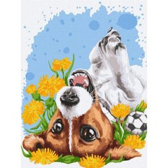 Картина за номерами "Весняне сонечко" ★★★★ купити в Україні