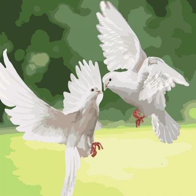 Картина за номерами "Білосніжні голуби" ★★★ купити в Україні