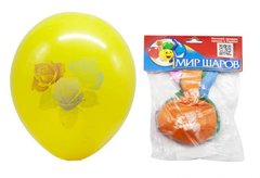 Кульки "День народження" (5 шт) купити в Україні