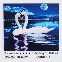 Картина за номерами + Алмазна мозаїка B 70641 (30) "TK Group", 40х50 см, в коробці купити в Україні