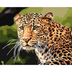 Набір для розпису по номерах. "Зеленоокий леопард" 40х50см купити в Україні