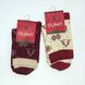 Шкарпетки дитячі стрейчові "Новорічні" 964 DUNA р18-20, Молочный